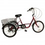 TRICICLO GAMBIER 1V 